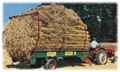 Strautmann's Loader Wagon History